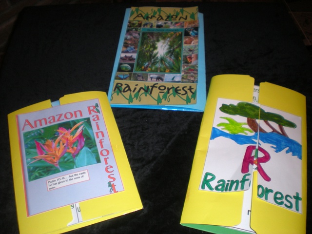 TROPICAL RAIN FOREST – AMAZON, OR AMAZONIA IN SOUTH AMERICA Lapbook