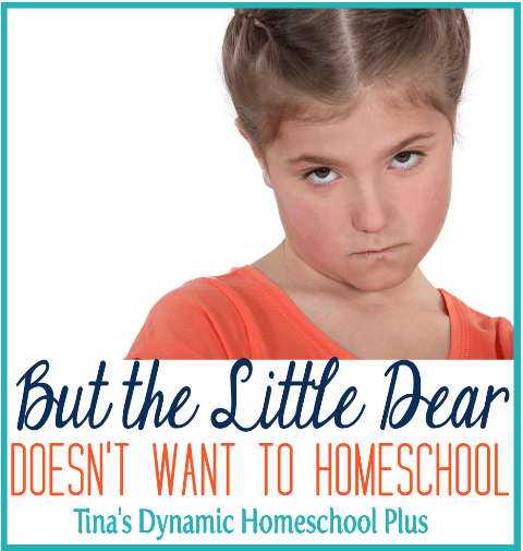 But the Little Dear Doesn't Want to Homeschool