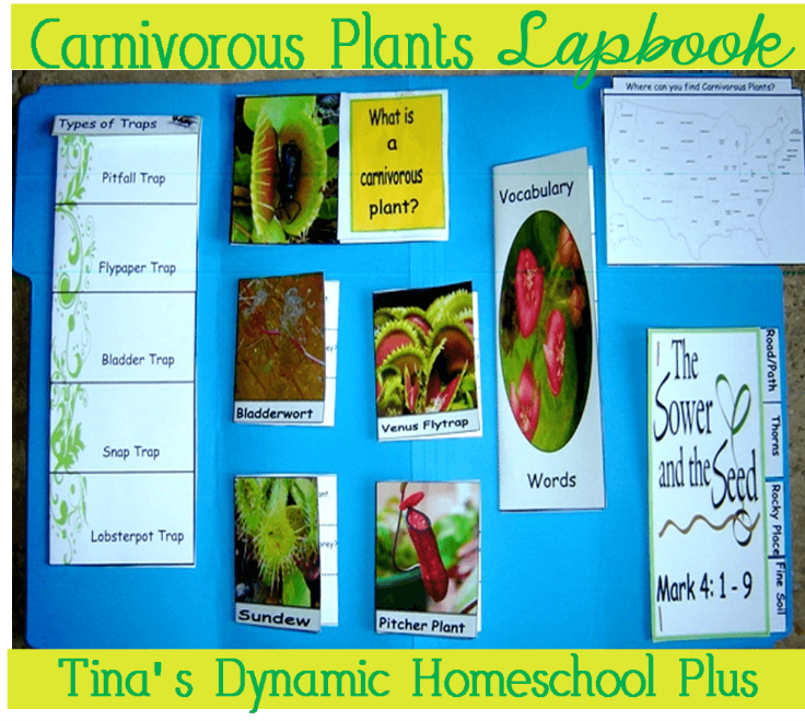 Carnivorous Lapbook @ Tina's Dynamic Homeschool Plus