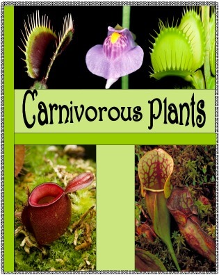 Cover Green Carnivorous Plants @ Tina's Dynamic Homeschool Plus