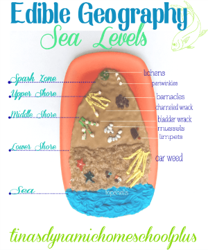 Edible Sea Level Geography Project @ Tina's Dynamic Homeschool Plus