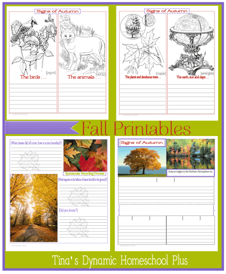 Fall Printables @ Tina's Dynamic Homeschool Plus