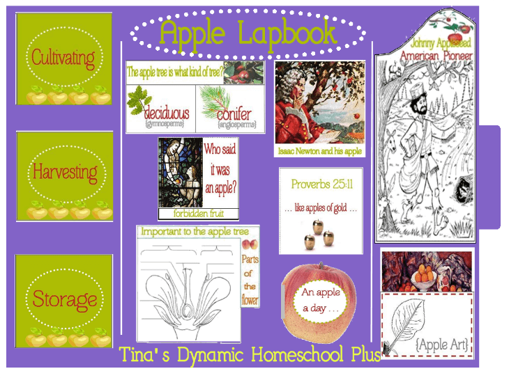 Free Apple Lapbook @ Tina's Dynamic Homeschool Plus