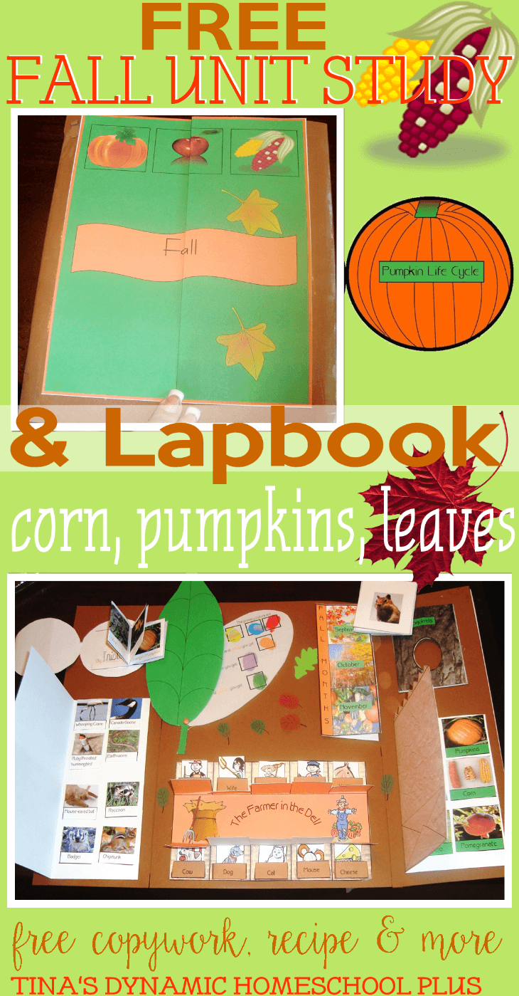 Free Fall Unit Study & Lapbook. Minibooks about pumpkins,leaves corn and MORE @ Tina's Dynamic Homeschool Plus