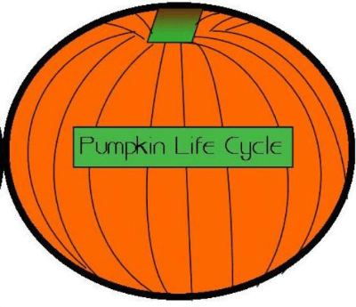 Minibook Pumpkin Life Cycle @ Tina's Dynamic Homeschool Plus