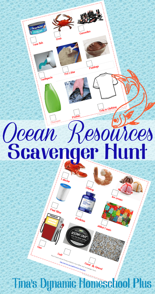 Ocean Resources Scavenger Hunt @ Tina's Dynamic Homeschool Plus