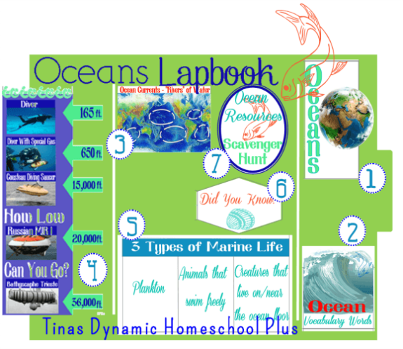 Ocean Lapbook @ Tina's Dynamic Homeschool Plus