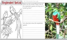 Quetzal Importance to Maya