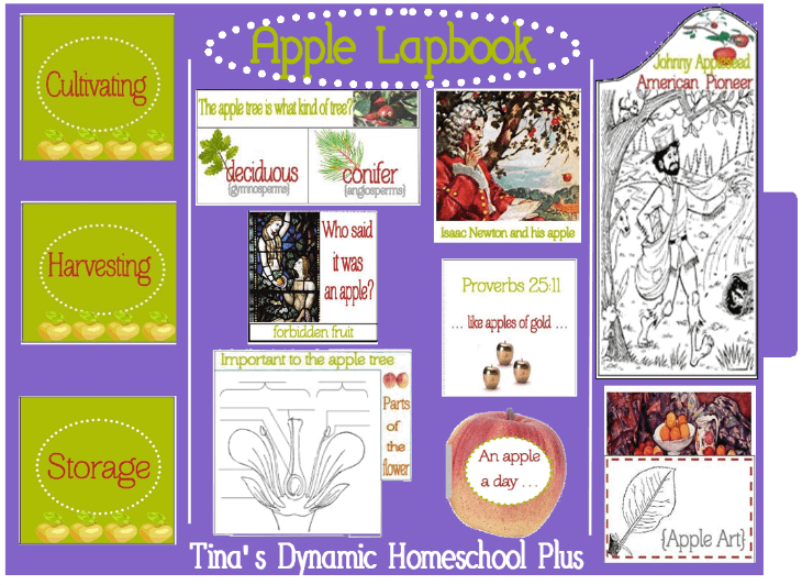 Free Apple Lapbook @ Tina's Dynamic Homeschool Plus