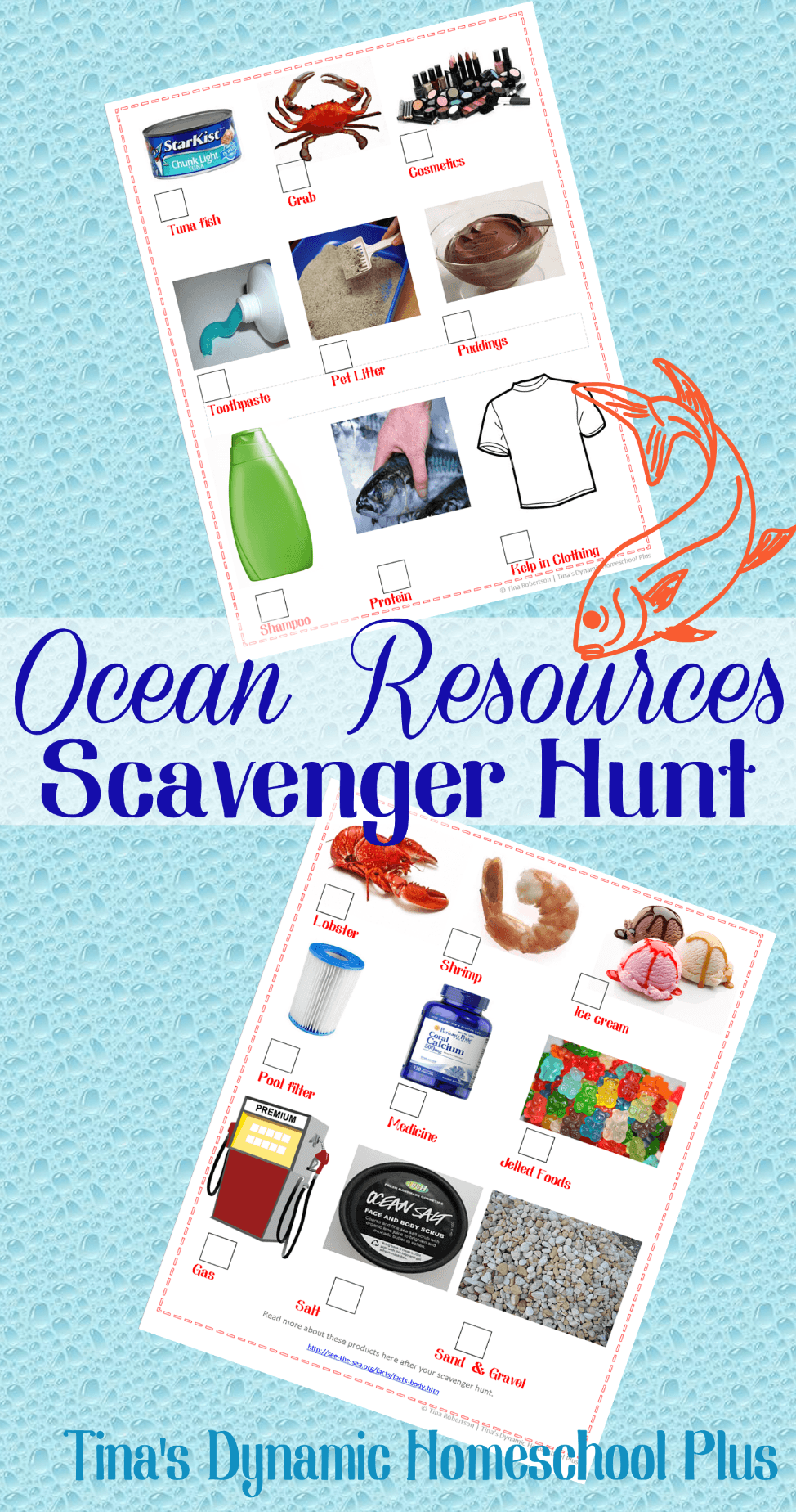 Ocean Resources Scavenger Hunt Collage