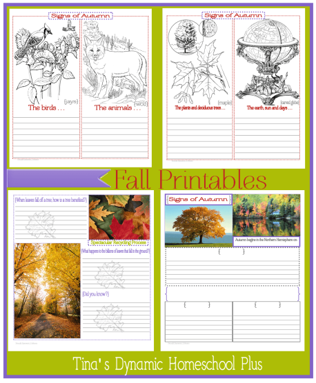 Free Fall Printables | Tina's Dynamic Homeschool Plus