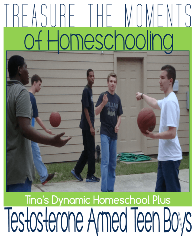 Treasure-the-Moments-of-Homeschooling-Testosterone-Armed-Teen-Boys.png