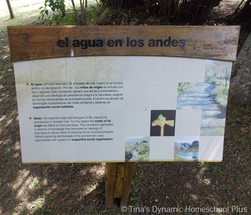 Agua Los Andes