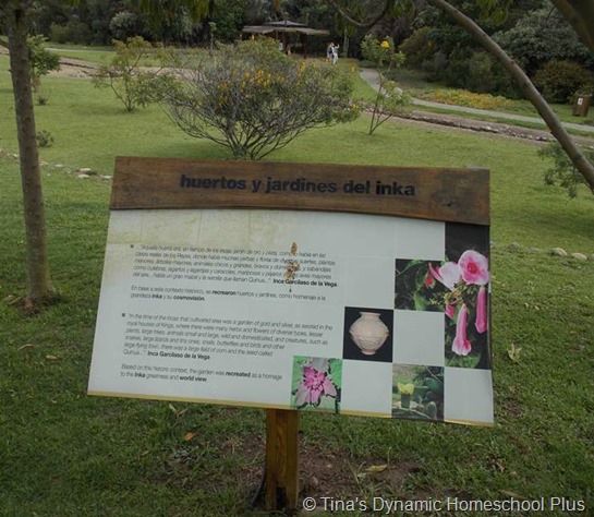  Incan Gardens