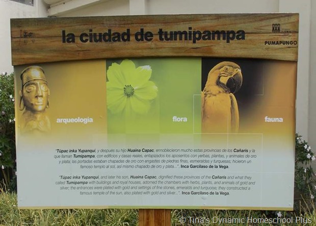  tumipampa