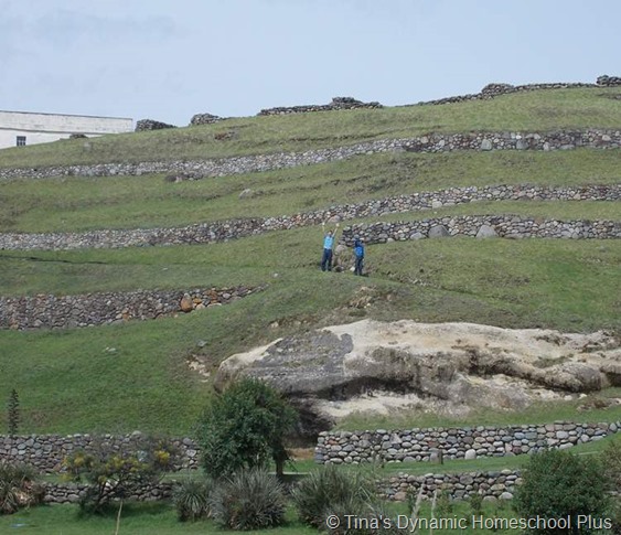  Incan Terraces