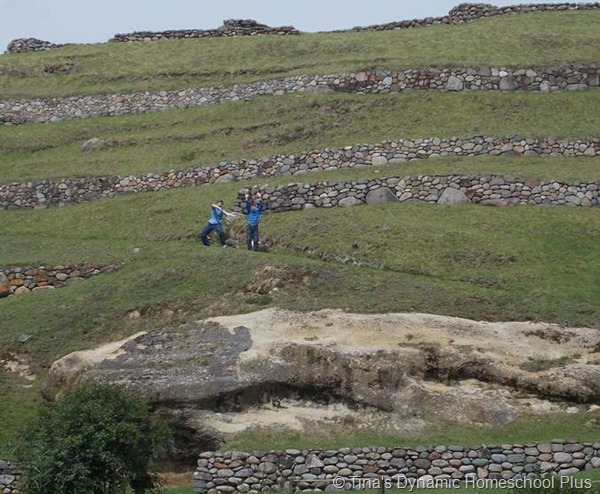  terraces