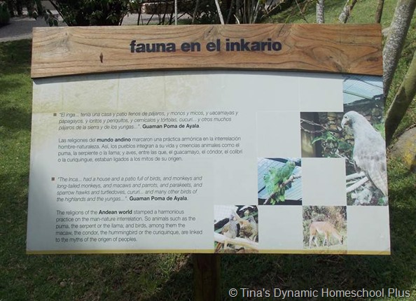  fauna of the inca