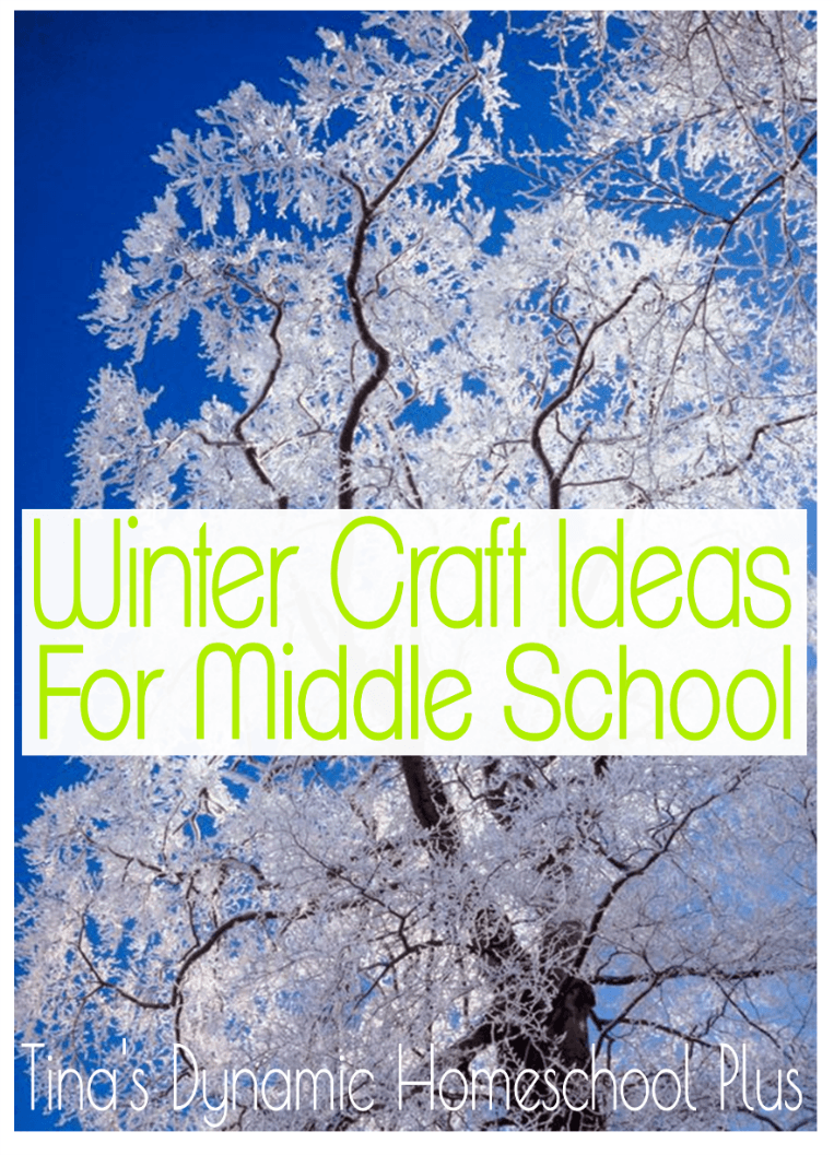 Winter Craft Ideas for Middle School
