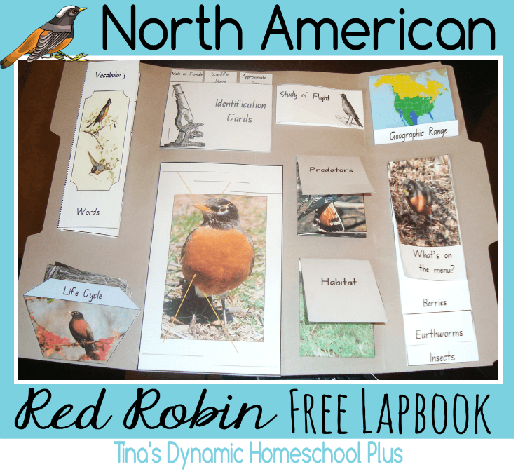 North American Red Robin Free Lapbook @ Tina's Dynamic Homeschool Plus