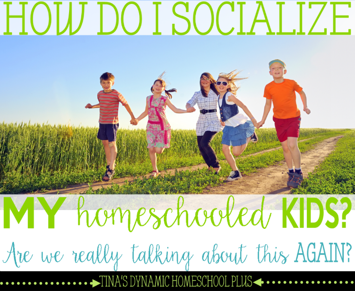 How Do I Socialize My Homeschooled Kids - Are We Really Talking About this AGAIN @ Tina's Dynamic Homeschool Plus