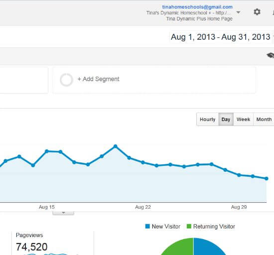 Pageviews Tina's Dynamic Homeschool Plus First Few Months