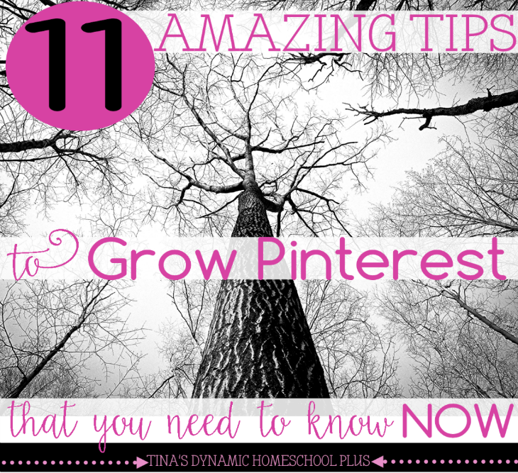 11 Amazing Tips to Grow Pinterest That You Need to Know NOW @ Tina's Dynamic Homeschool Plus