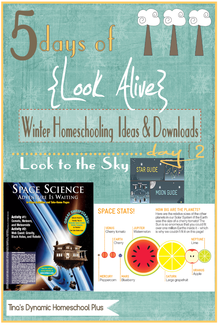 5 Days of Look Alive Winter Homeschooling. Day 2 Look to the Sky. Free Downloads & Activities @ Tina's Dynamic Homeschool Plus