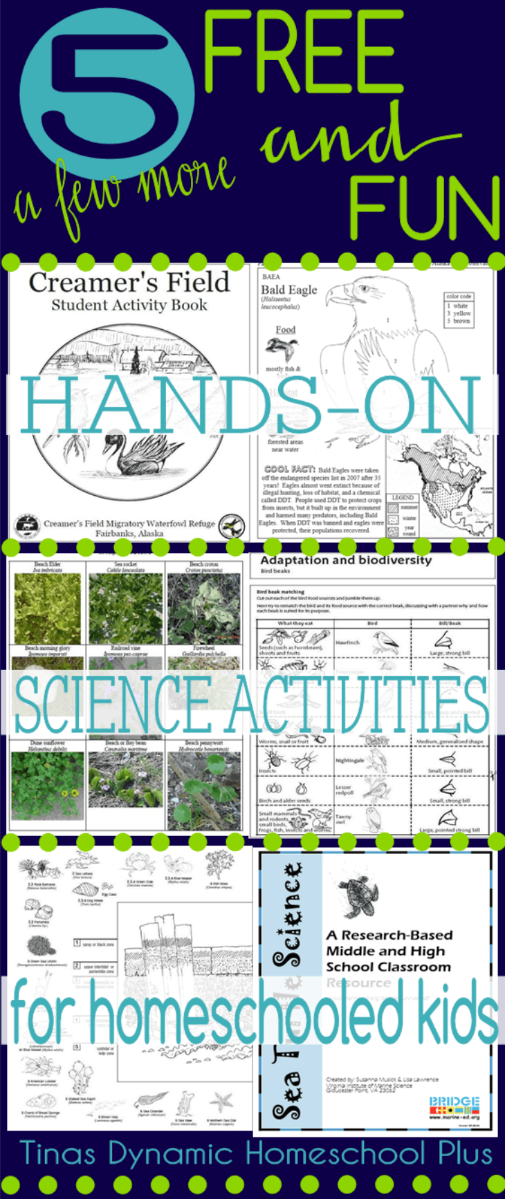 5 FUN and FREE Hands-on Science Activities for Homeschooled Kids @ Tina's Dynamic Homeschool Plus