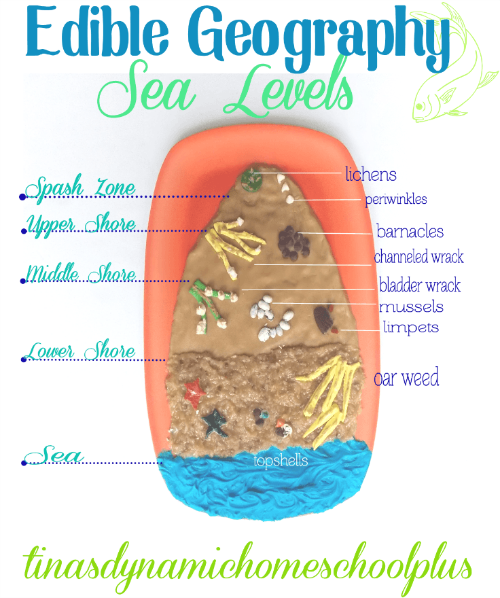 Edible Geography Sea Levels @ Tina's Dynamic Homeschool Plus