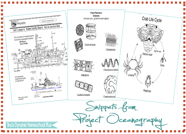 Free Downloads from Project Oceanography @ Tina's Dynamic Homeschool Plus