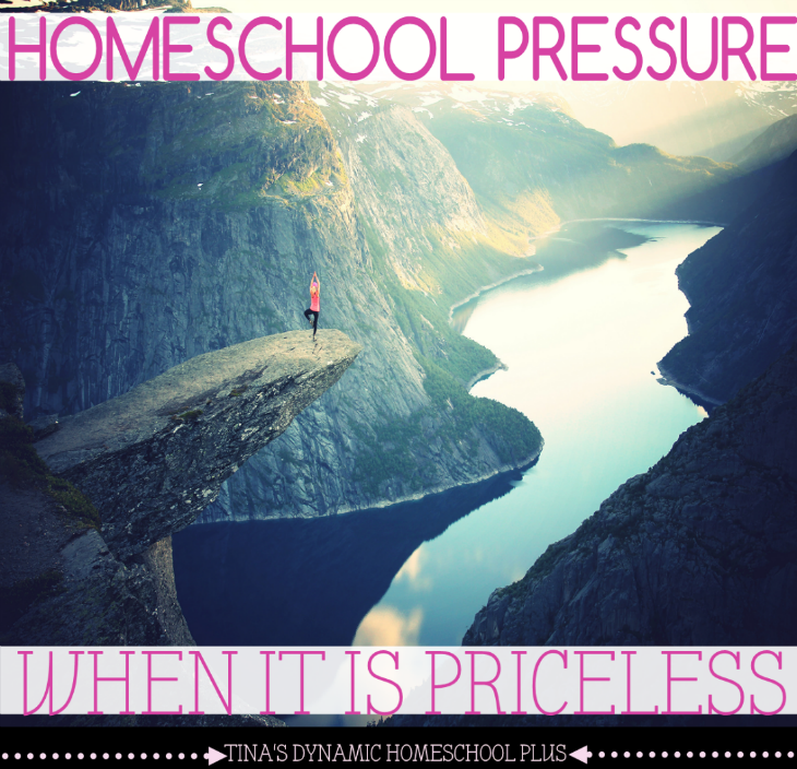Homeschool Pressure - When It Is Priceless @ Tina's Dynamic Homeschool Plus