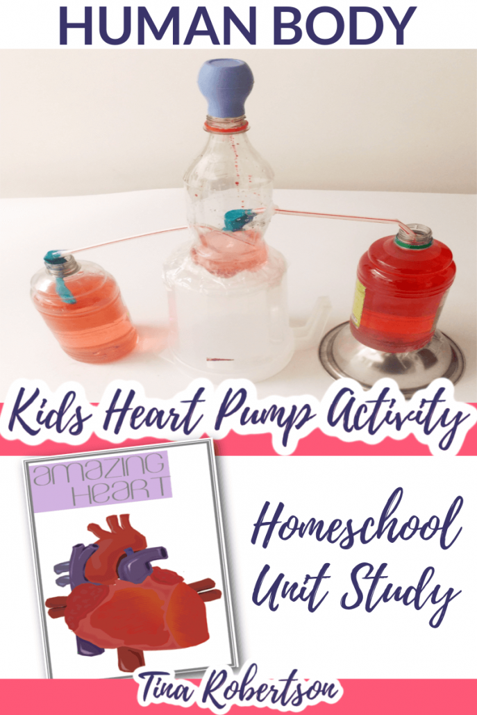 Homeschool Unit Study Human Body. Hands-On Activity DIY Heart Pump and Human Body Lapbook