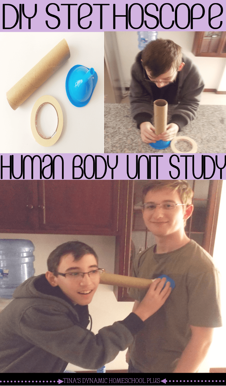 Human body unit study DIY Stethoscope. Hands-on Learning @ Tina's Dynamic Homeschool Plus