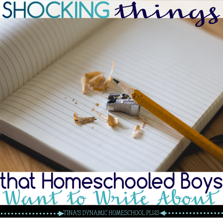 Shocking Things That Homeschooled Boys Want to Write About. Should we let them @ Tina's Dynamic Homeschool Plus