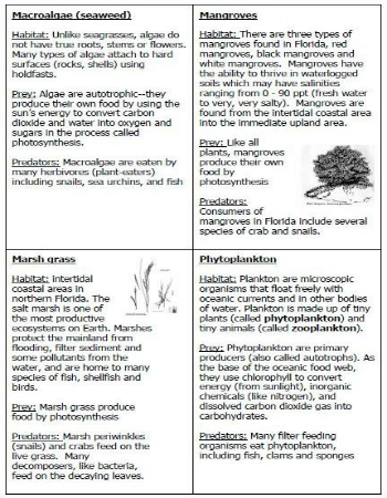 food web cards