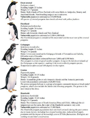 penguin 2