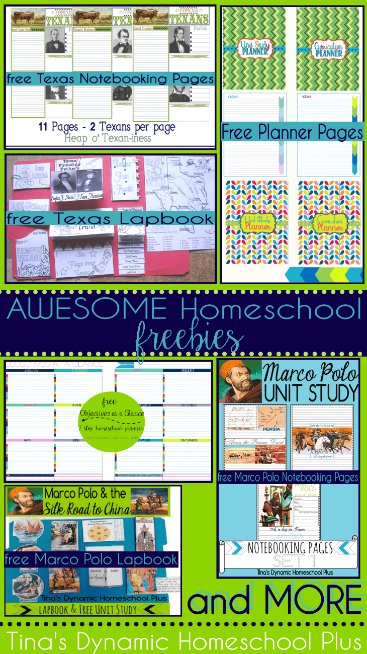 AWESOME Homeschool Freebies @ Tina's Dynamic Homeschool Plus