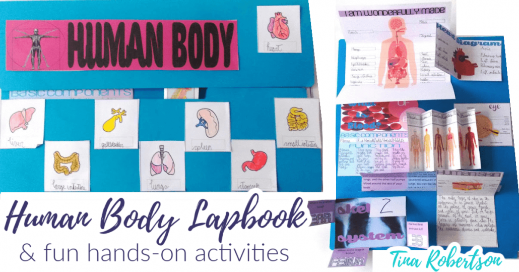 Beautiful Human Body Lapbook and Fun Unit Study