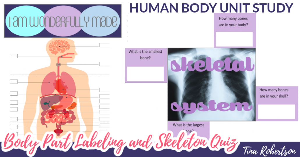 Body Part Labeling and Skeleton Quiz Human Body Unit Study