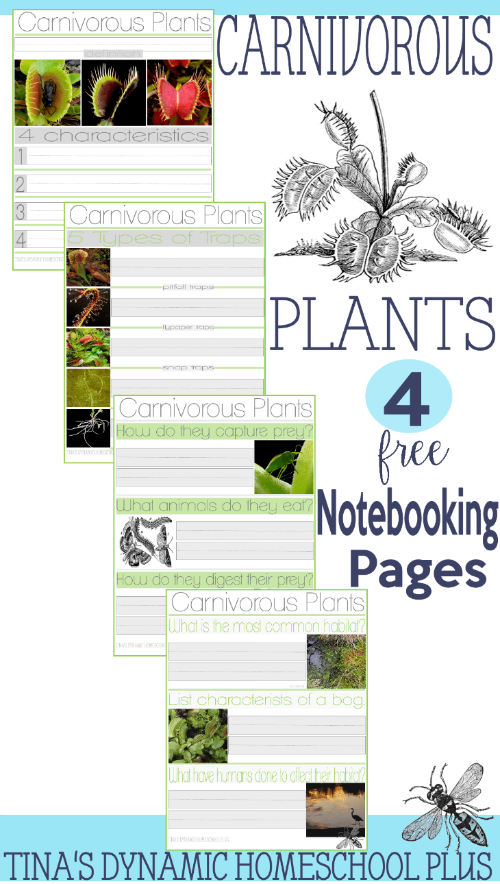 Carnivorous Plants Notebooking Pages @ Tina's Dynamic Homeschool Plus