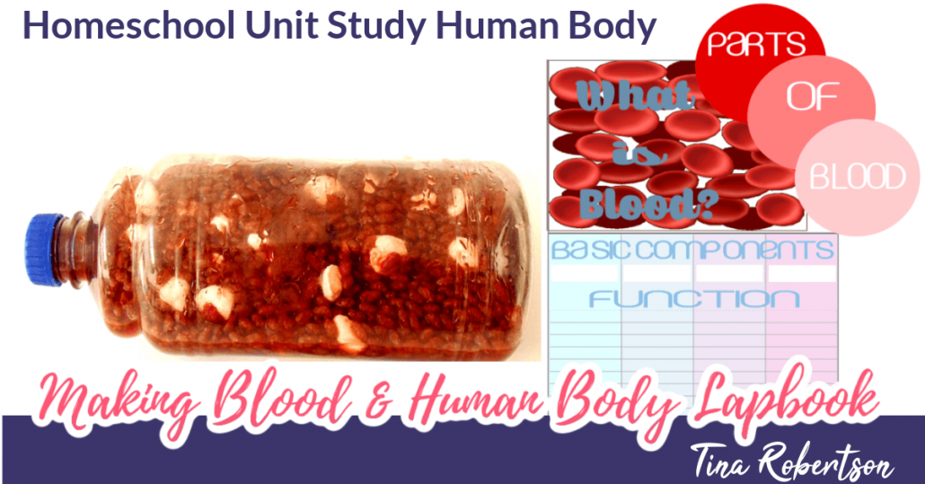 Homeschool Unit Study Human Body. Hands-on Making Blood +  What Are the Components of Blood