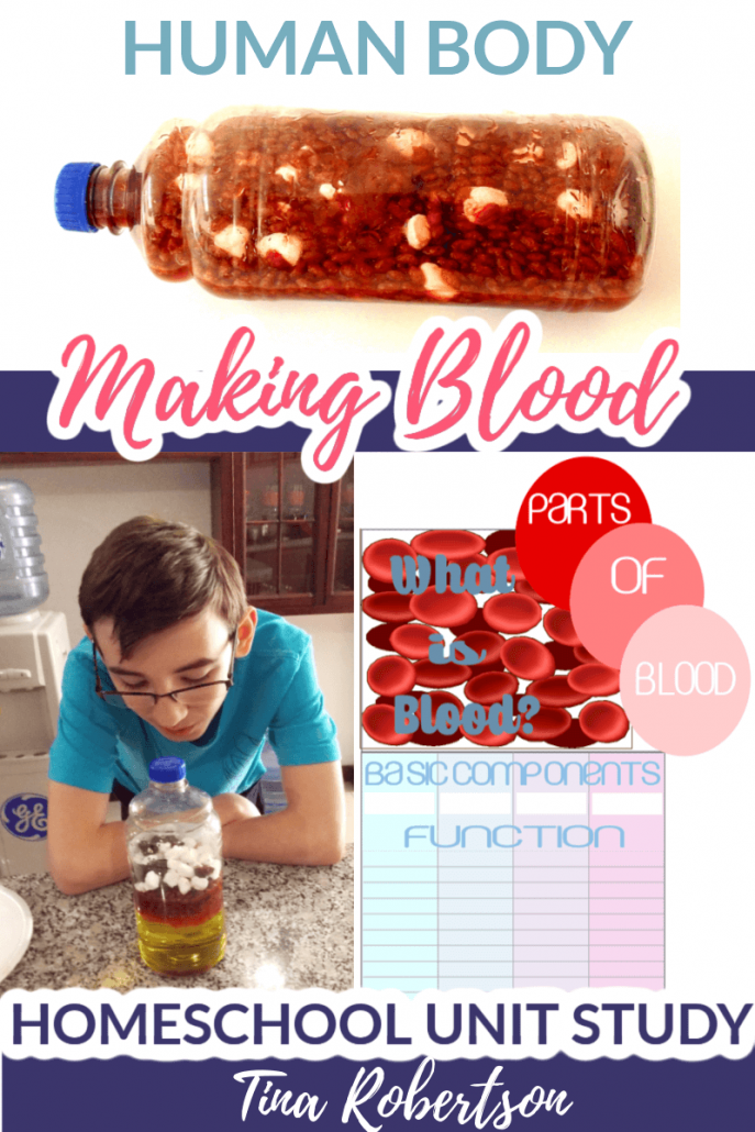 Homeschool Unit Study Human Body. Hands-on Making Blood +  What Are the Components of Blood