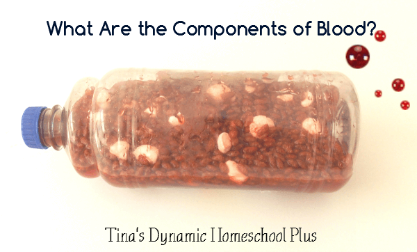 How to Make Blood 11 @ Tina's Dynamic Homeschool Plus