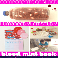What is blood hands on activity and free blood components minibook for a human body homeschool unit study @ Tina's Dynamic Homeschool Plus featured