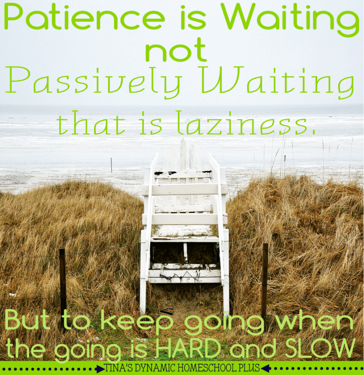 Patience (not skill) is the secret to sticking to homeschooling @ Tina's Dynamic Homeschool Plus