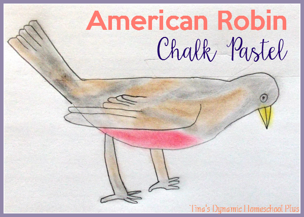 American Robin Chalk Pastel @ Tina's Dynamic Homeschool Plus