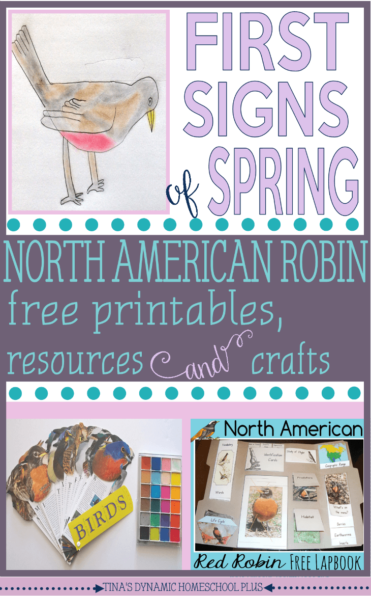 American Robin Free Printables, Resources and Crafts @ Tina's Dynamic Homeschool Plus