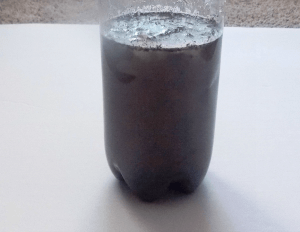 Sediment Activity 3 @ Tina's Dynamic Homeschool Plus