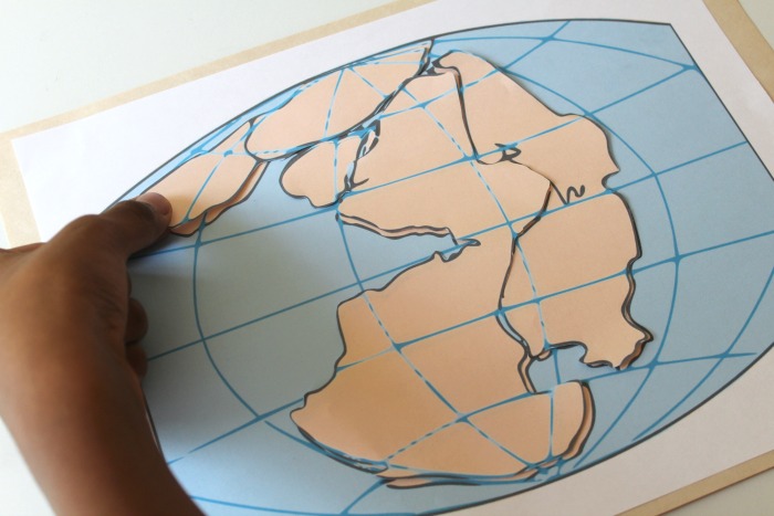 Assembling a Pangaea Puzzle